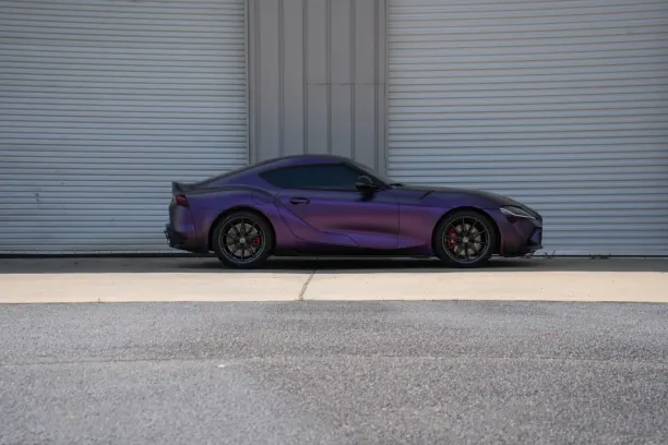 קזינו שואוריל בינגו אפליקציית Android/iOS